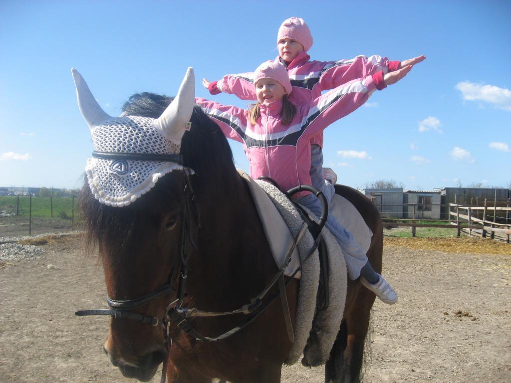 Tréning so zvieratami